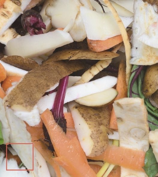 Bio déchets alimentaires