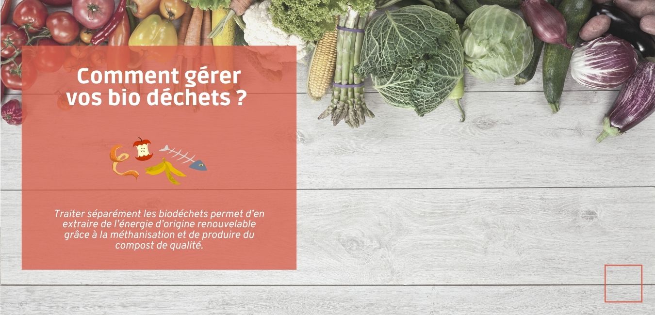 Comment gérer vos bio déchets