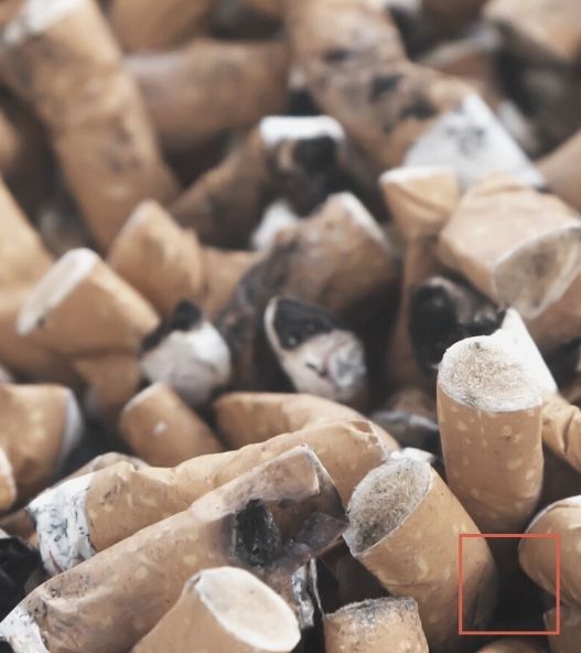 Mégots de cigarette