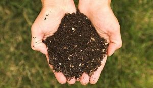 compost